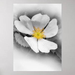 Póster amarillo en sombras del gris