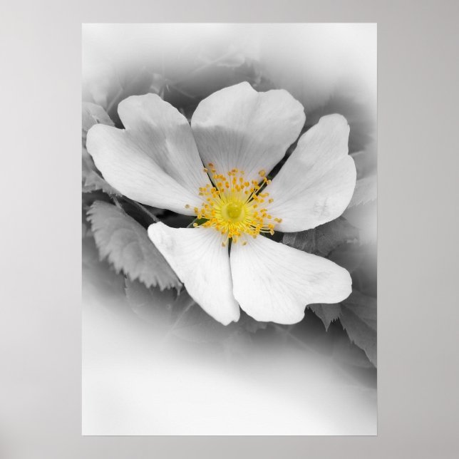 Póster amarillo en tonos grises (Frente)