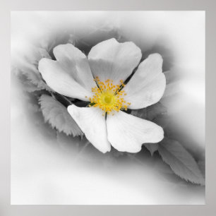 Póster amarillo en tonos grises