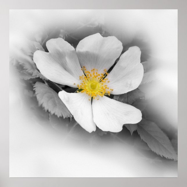 Póster amarillo en tonos grises (Frente)