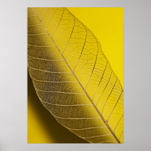 Póster Amarillo esquelético de la hoja