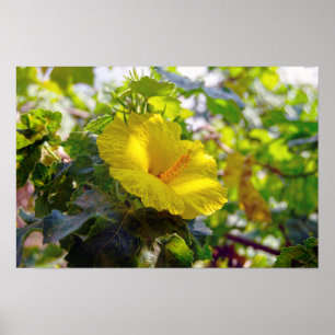 Póster Amarillo Hibisco Flor del Estado de Hawái