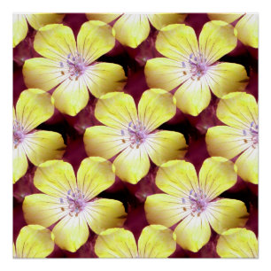 Póster Amarillo sumergido......