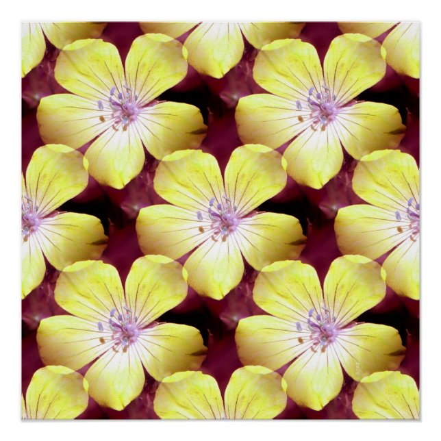 Póster Amarillo sumergido...... (Anverso)