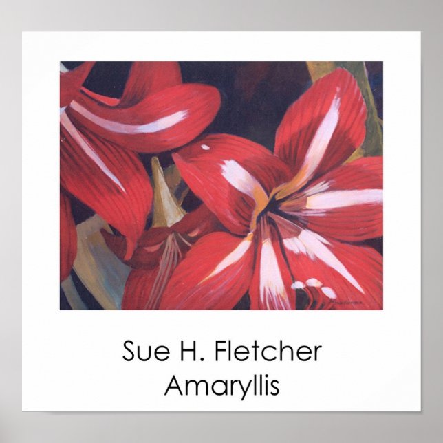 Póster Amaryllis (Frente)