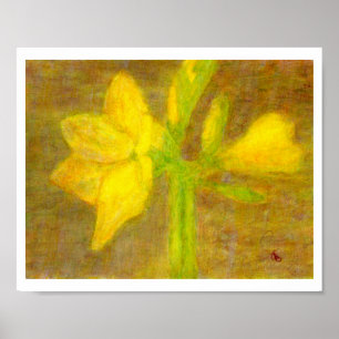 Póster Amaryllis, Poster