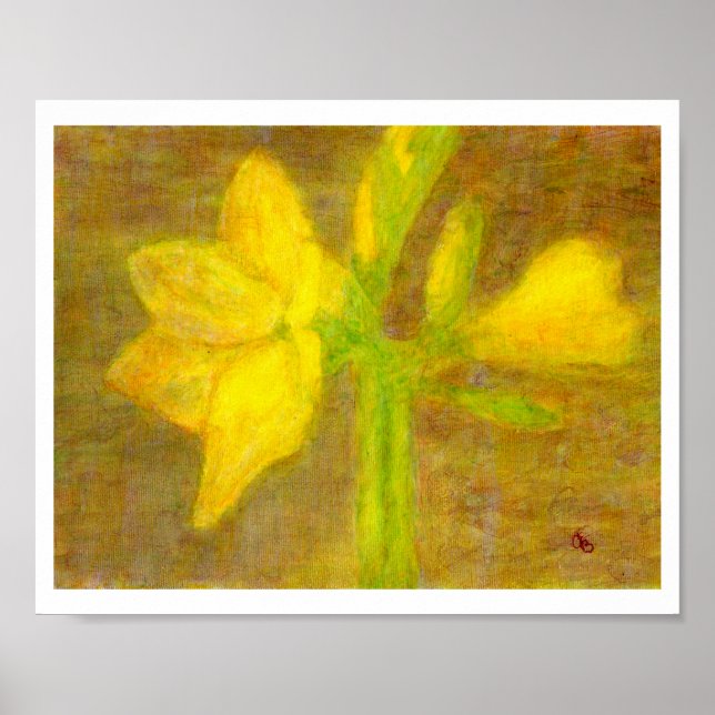 Póster Amaryllis, Poster (Frente)