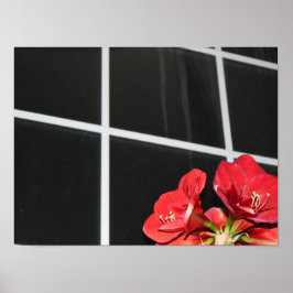 Póster Amaryllis, ventanilla, flor Navidad, rojo