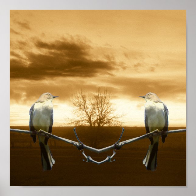 Póster Amas de amor_Poster (Frente)