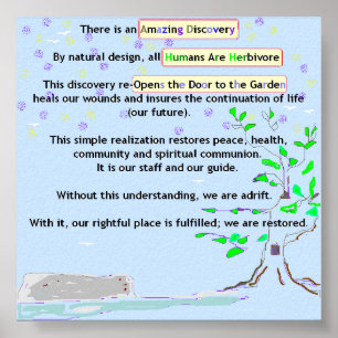 Póster Amazing Discovery Poster