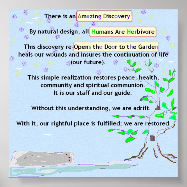 Póster Amazing Discovery Poster (Frente)