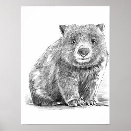Póster Amazing realistic wombat in pencil drawing style
