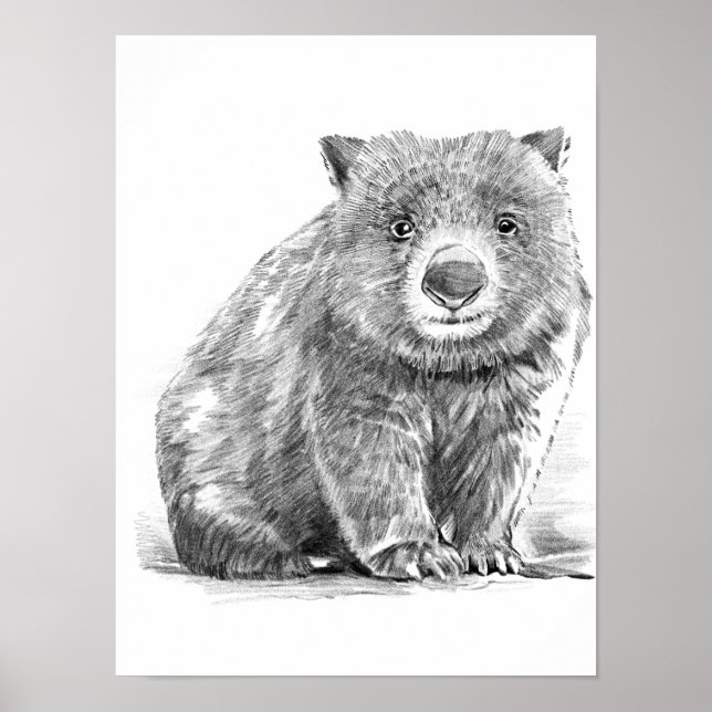 Póster Amazing realistic wombat in pencil drawing style (Frente)