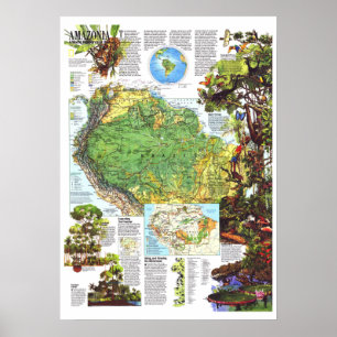 Póster " Amazonia: 1992 Un MAP De Recursos En Riesgo Mund