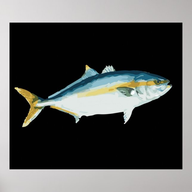 Póster Amberjack japonés Hamachi Yellowtail (Frente)