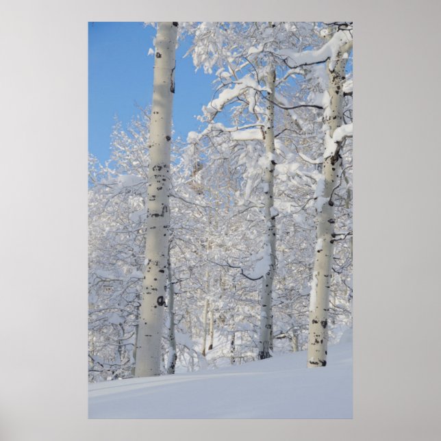 Póster Ámbitos recubiertos de nieve, cresta de desolación (Frente)