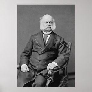 Póster Ambrose Burnside y sus patitos