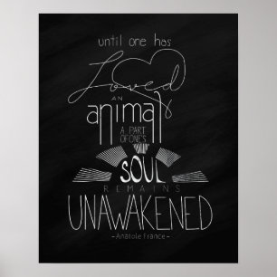 Póster Ame un poster puesto letras la mano animal de