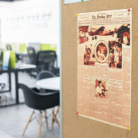 Amelia Earhart Newspaper Front Page Article