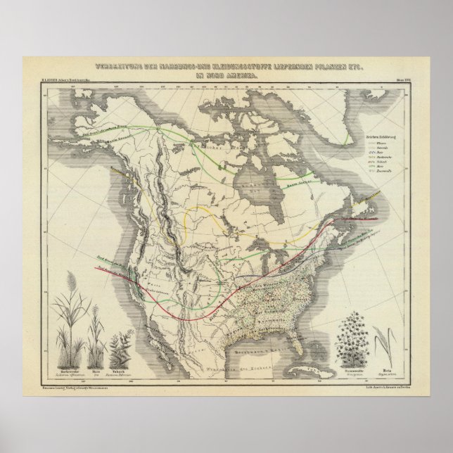 Póster América del Norte 13 (Frente)