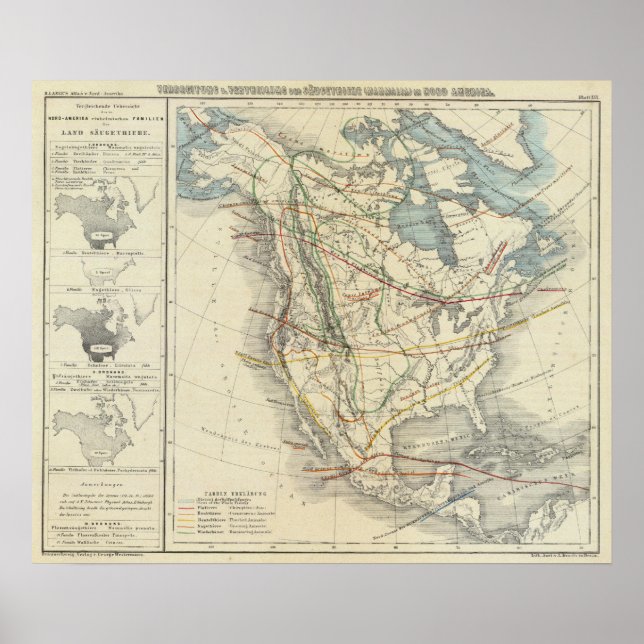 Póster América del Norte 33 (Frente)