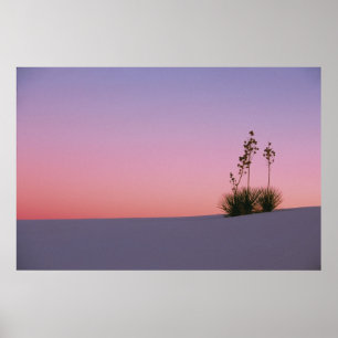 Póster América del Norte, América, Nuevo México, Blanco