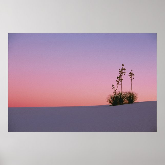 Póster América del Norte, América, Nuevo México, Blanco (Frente)