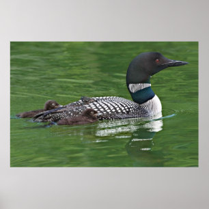 Póster América del Norte, Canadá, Columbia Británica, Lac