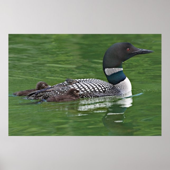 Póster América del Norte, Canadá, Columbia Británica, Lac (Frente)