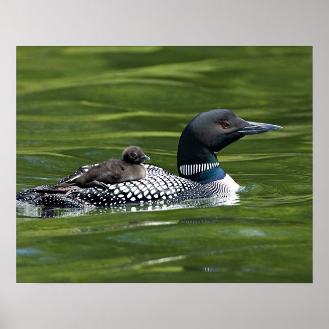 Póster América del Norte, Canadá, Columbia Británica, Lac (Frente)