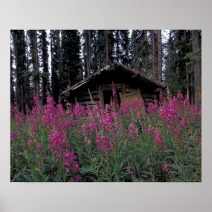 Póster América del Norte, Canadá, Yukón. Trapos abandonad