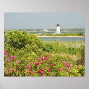 Póster América del Norte, EE.UU., Massachusetts, Martha's