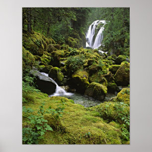 Póster América del Norte, Estados Unidos, Alaska. Una cas