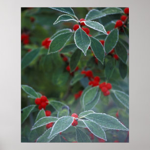 Póster América del Norte, Estados Unidos, Nueva Inglaterr