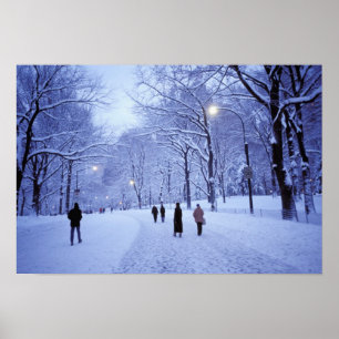 Póster América del Norte, Estados Unidos, Nueva York, Nue