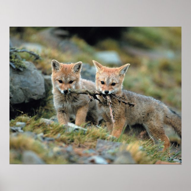 Póster América del Sur, Chile, Nacional Torres del Paine (Frente)