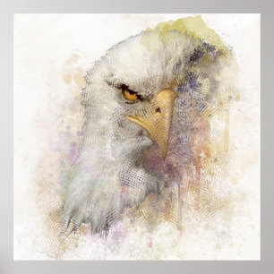 Póster American Bald Eagle Bird Of Prey Watercolor