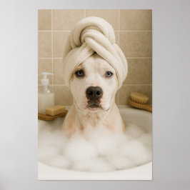 Póster american bully dog cute funny bathroom decor
