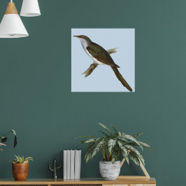Póster American Cuckoo Bird Poster