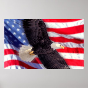 Póster American Eagle con la bandera americana