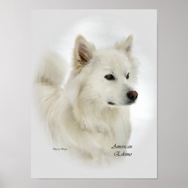 Póster American Eskimo Dog Art Prints (Frente)