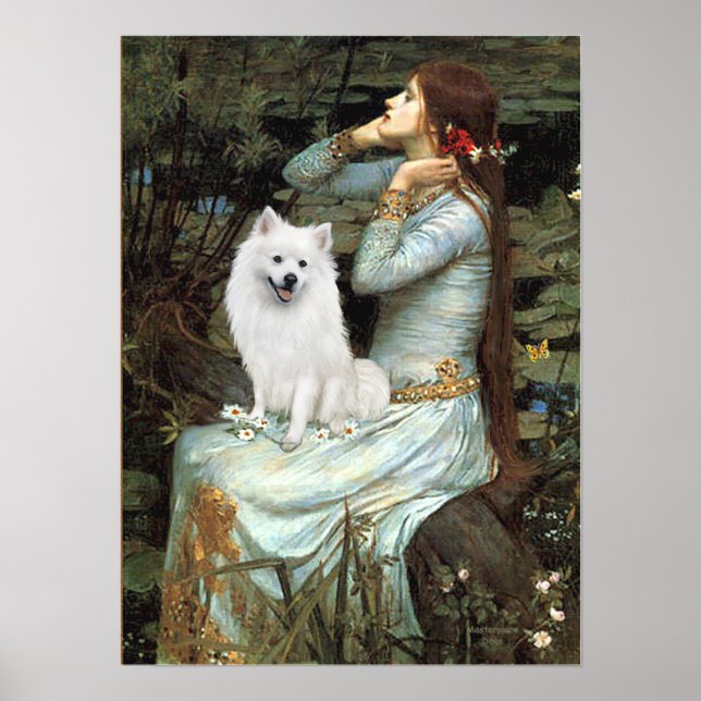 Póster American Eskimo Dog - Ophelia Seated (Frente)