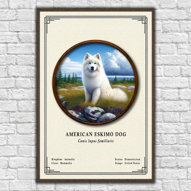 Póster American Eskimo Dog Zoology Series (Subido por el creador)