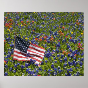 Póster American Flag in field of Blue Bonnets, 2