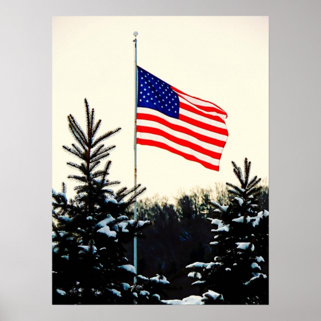 Póster American Flag in Snow (Frente)