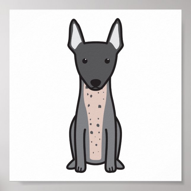 Póster American Hairless Terrier (Frente)