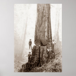 Póster American Loggers Circa 1880