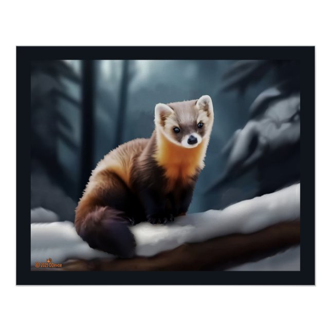 Póster American Pine Marten (Anverso)