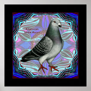 Póster American Show Racer