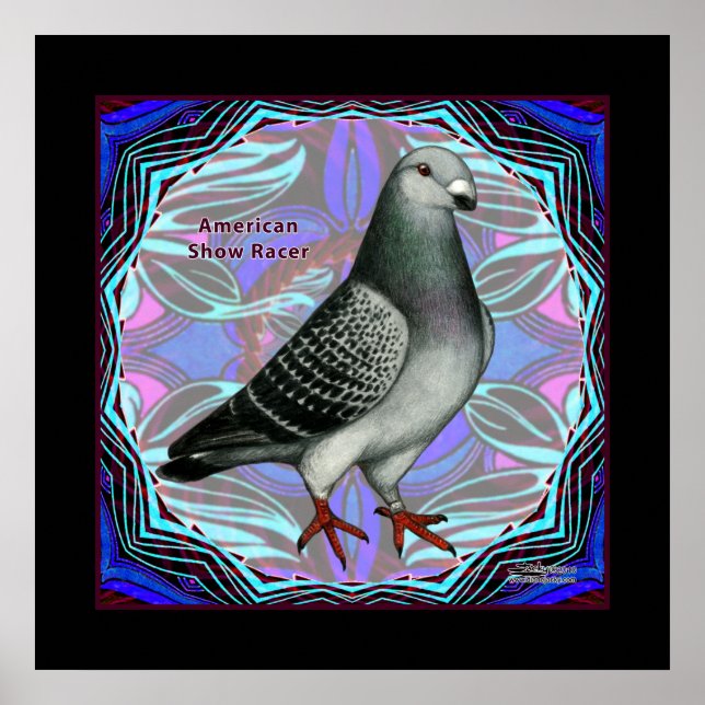 Póster American Show Racer (Frente)